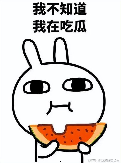 看我眼色吃瓜,跟我学看眼色吃瓜的艺术