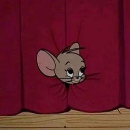 汤姆吃瓜图片图文,趣味横生的夏日时光