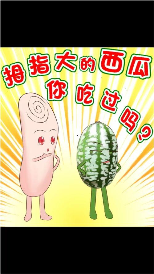 小美吃大瓜