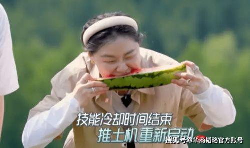 国产最近吃瓜,最新吃瓜大揭秘，热点事件盘点