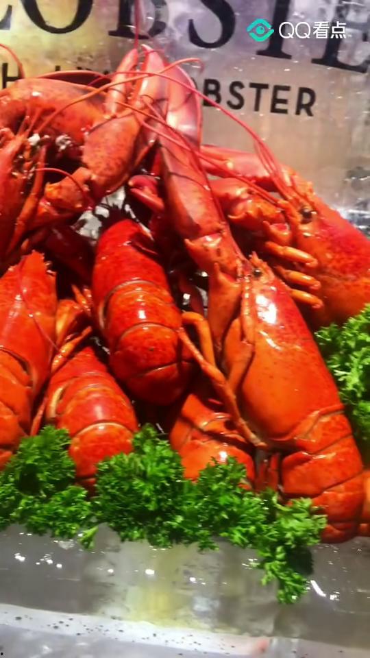 花小龙吃瓜,揭秘娱乐圈背后的秘密与真相