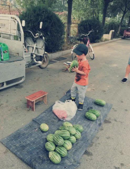 儿子回老家吃瓜