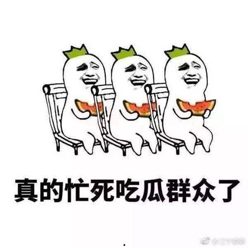 吃瓜鹅头像
