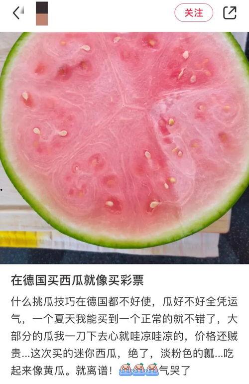 自由吃瓜吃瓜,畅享夏日清凉时光